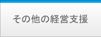 その他の経営支援